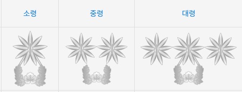 먼저 대한민국 군인 계급 및 계급별로 주로 어떤 보직을 맡게 되는지 간단히 알아보도록 하겠습니다.
부대 규모나 특성에 따라 맡는 보직 등은 달라질 수 있음을 미리 말씀드립니다.