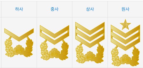 군대의 빡침에 대해 얘기를 하자면 끝이 없을 것 같기에 잡설은 이만 줄이기로 하고, 오늘 포스팅에서는 군인 계급에 대해 소개를 해보도록 하겠습니다.